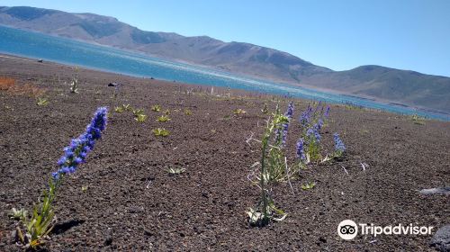 Laguna del Laja National Park