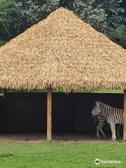 ニューキー動物園