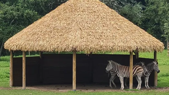 ニューキー動物園