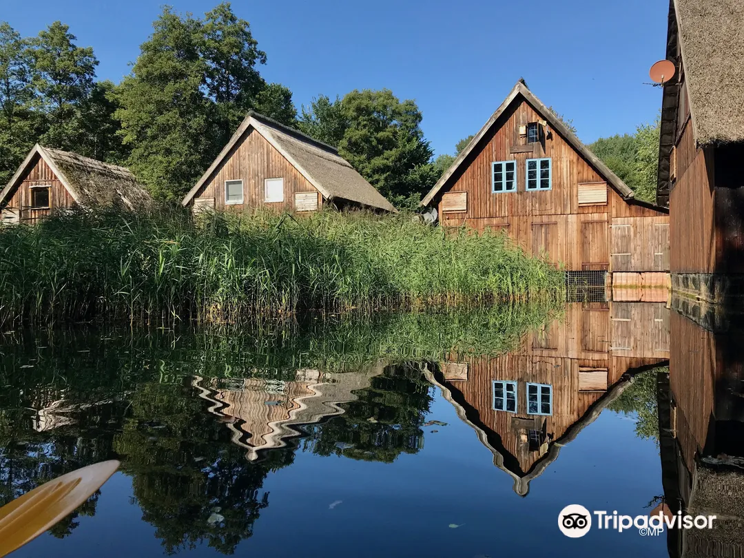 4_Mueritz-Nationalpark (Mueritz National Park)