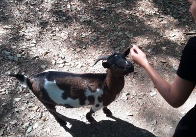 Wildtierpark Edersee