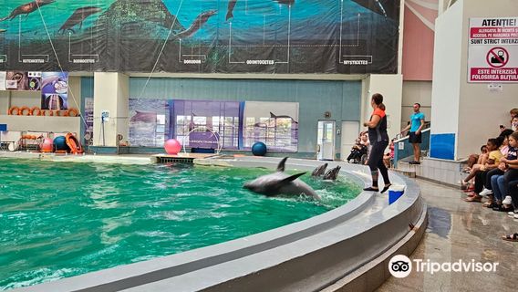 The Dolphinarium of Constanța
