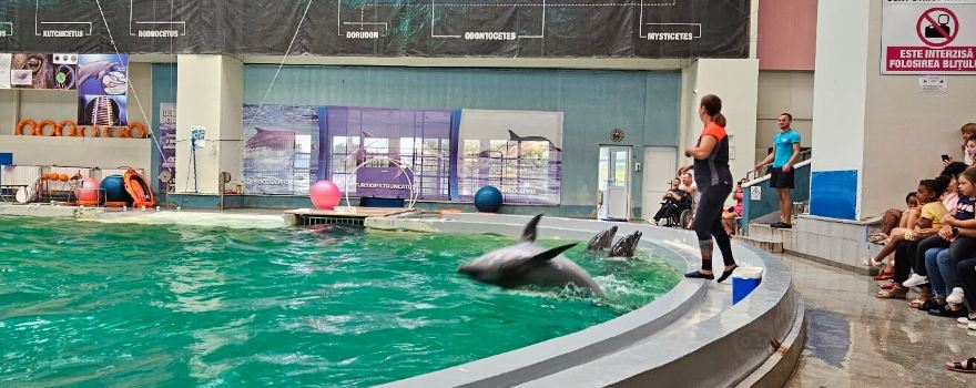 Constanța Dolphinarium
