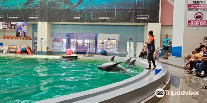 The Dolphinarium of Constanța