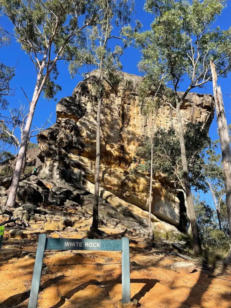 Hotels in Redbank Plains