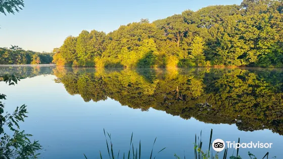 Horn Pond
