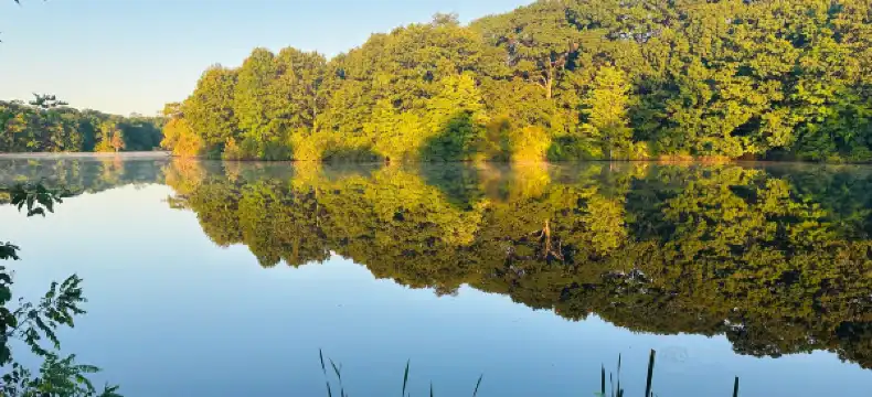 โรงแรมในโวเบิร์น