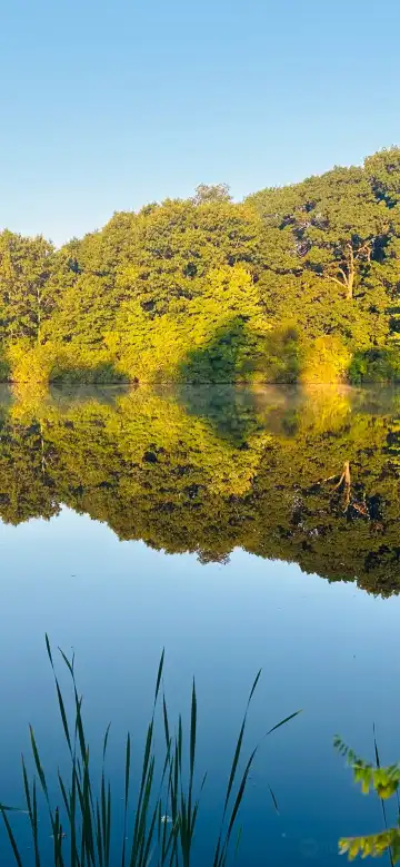 ウォバーンのホテル