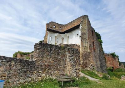 Château de Donaustauf (ruines)