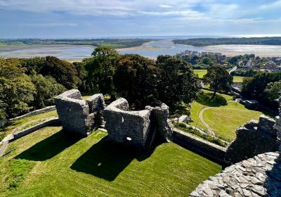 Dundrum Castle