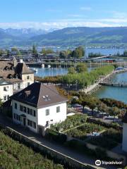 Rapperswil Rose Gardens