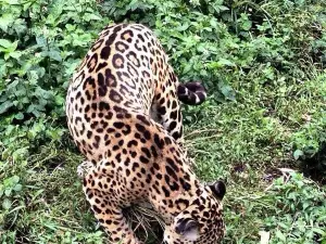 Zoologico de San Martin
