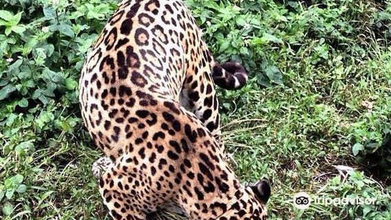 Zoologico de San Martin