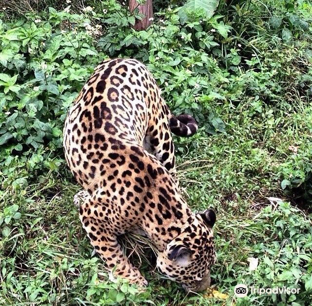 Zoologico de San Martin