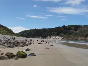 Plage du Palus