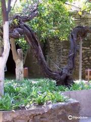 フォレスティア地下庭園