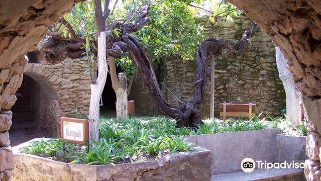 Forestiere Underground Gardens