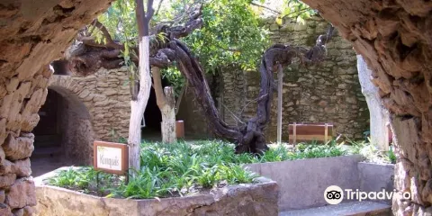 福雷斯蒂耶雷地下公園