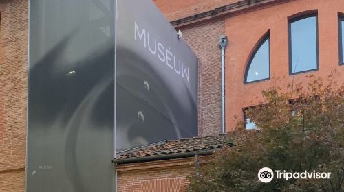 Museum de Toulouse