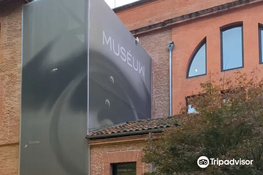 Museum de Toulouse