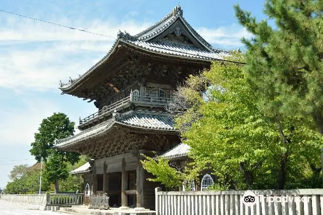 大樹寺