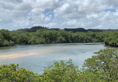 Barra de Jequia Beach