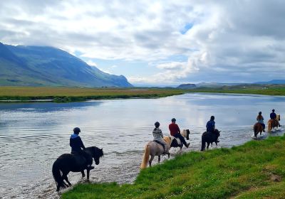 Galsi Horse Rental