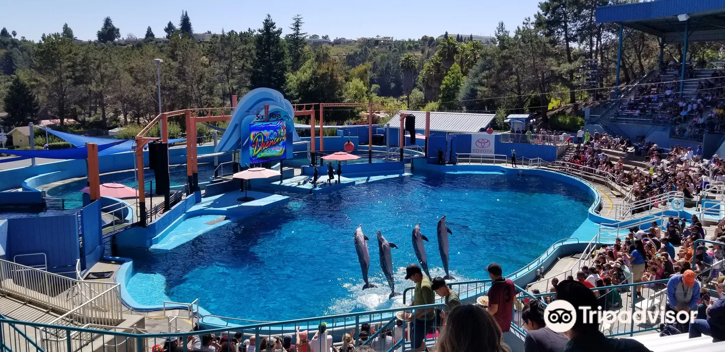 4_Six Flags Discovery Kingdom