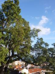 The British Cemetery