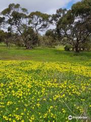 Cobbler Creek Recreation Park