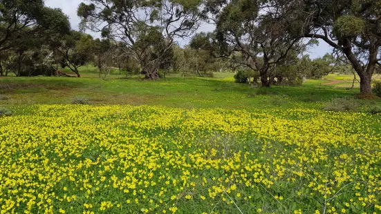 Cobbler Creek Recreation Park