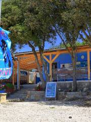 Scuba Diving Center Rovinj