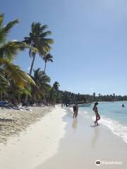 Excursion a la Isla Saona