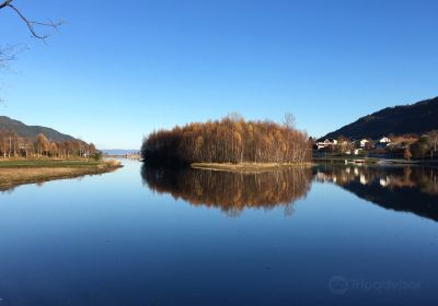 Orkdal