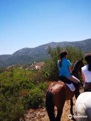 Horse Riding Center Picadeiro d'Arrábida