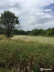 Chippawa Creek Conservation Area