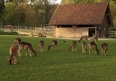 Wildpark Bruderhaus