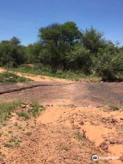 Dinosaur Tracks - National Monument NAMIBIA