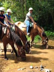 Bellrowan Valley Horse Riding