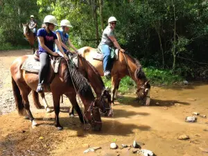 Bellrowan Valley Horse Riding
