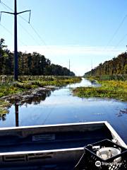 Airboat Swamp Adventures