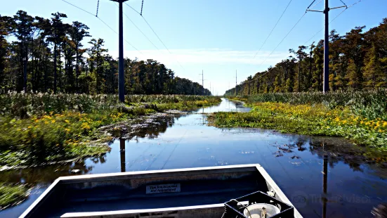 Airboat Swamp Adventures