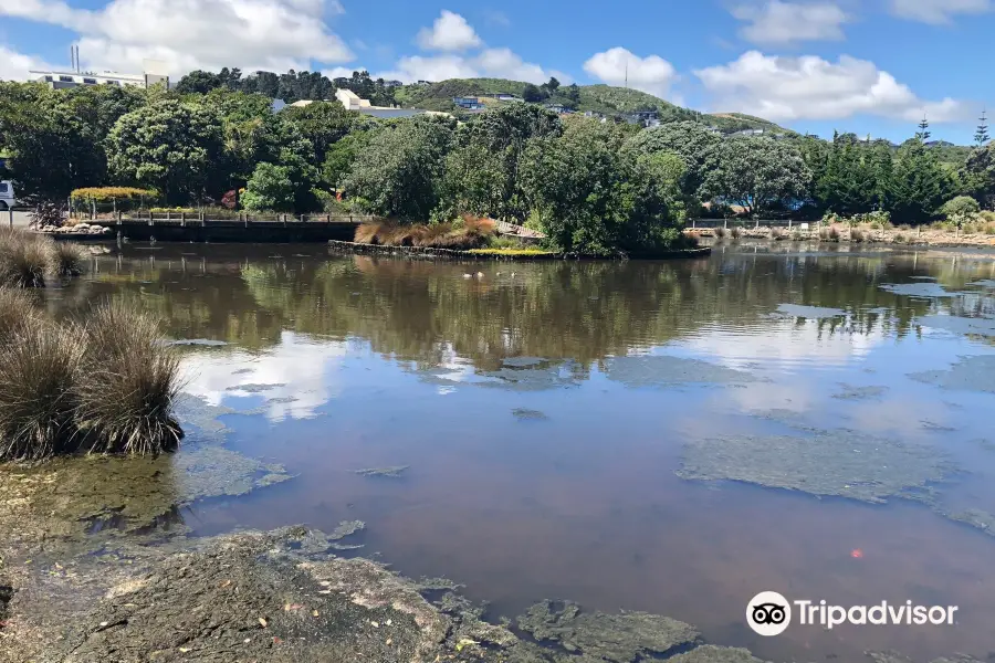 Aotea Lagoon