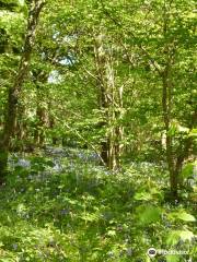 Bryngarw Country Park