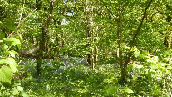 Bryngarw Country Park