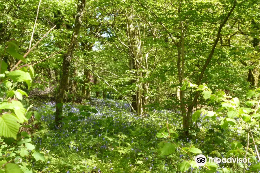 Bryngarw Country Park