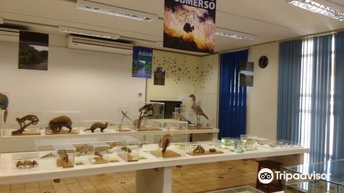 Zoology Museum