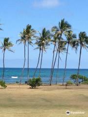 Michael's Massage - Kapaa Kauai Massage Therapy