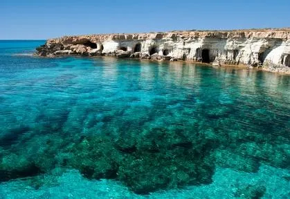 Coral Bay Divers