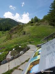 Ricola Kräutergarten Zermatt